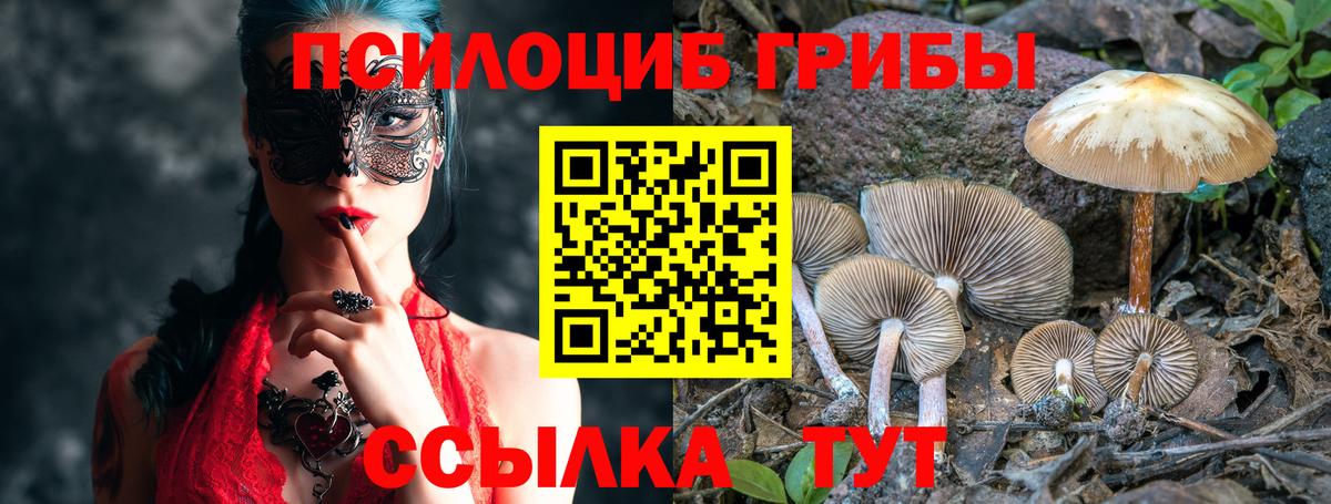 Псилоцибиновые грибы ЛСД  Псилоцибиновые грибы Psilocybe  Вход с VPN  Камень-на-Оби 